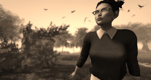 Web 57d90ff0e85cda116a000001