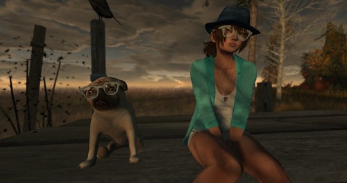 Web 58c66958f8a1ec4b64000001