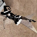 Thumb 57bc569be85cda7038000001