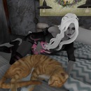 Thumb 57dc8541e85cda6f6c000001