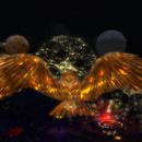 Thumb 58fd2bb0289dd25cc2000001