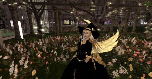 Web 57e936f6b713f72fcc000001