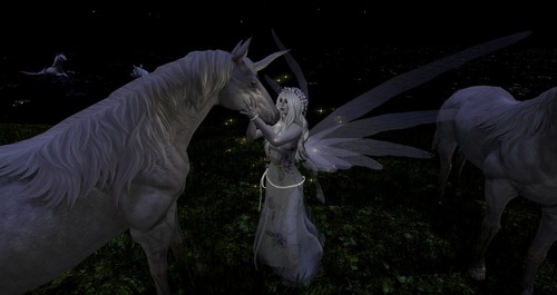 Web 58652166f8a1ec631c000001