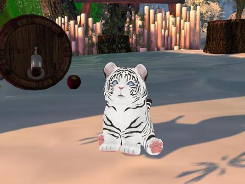 Web 596f4757d9859c6a8d000001