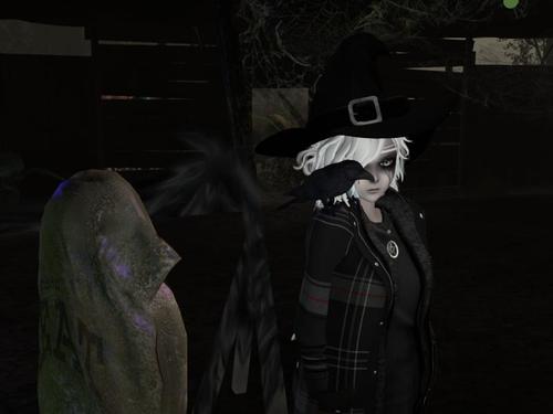 Web 5972846f73ed174911000001