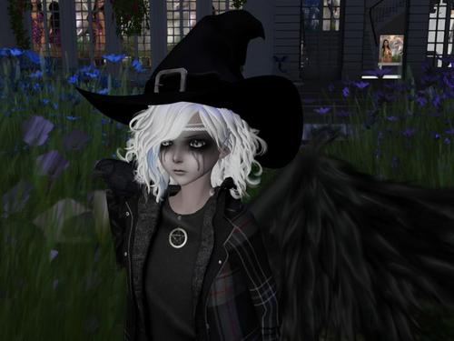 Web 597289d2289dd23389000001