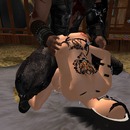 Thumb 50fc3a6b9be1312a4d000001