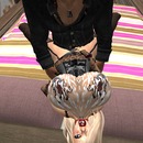 Thumb 5106b429b28ba13d9c000001