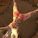 Thumb 53192bb6a73e211156000001