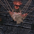 Thumb 53193daf8da57206bc000001