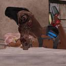 Thumb 5c8ae3b5d9859c36e4000001