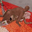 Thumb 5c901df2289dd27db6000001