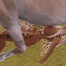 Thumb 5c92eb6a289dd21a14000001