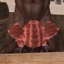 Thumb 5c953d4873ed175cf4000001