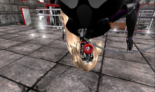 Web 50f19223935bff020b000001