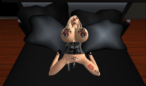 Web 511af015af585a38ea000001