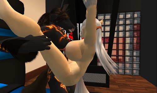 Web 5127db3bec8e9322b4000001