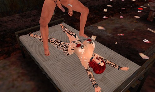 Web 530aba52a73e21781c000001