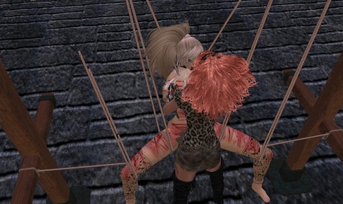 Web 53193c17f8a1ec43d0000001