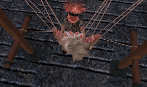 Web 53193daf8da57206bc000001