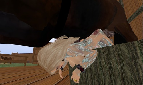 Web 534978948da5725744000001