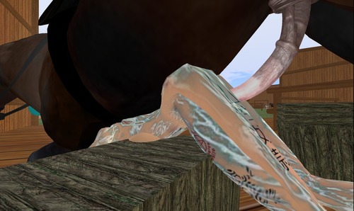 Web 534978e0a73e2102f7000001