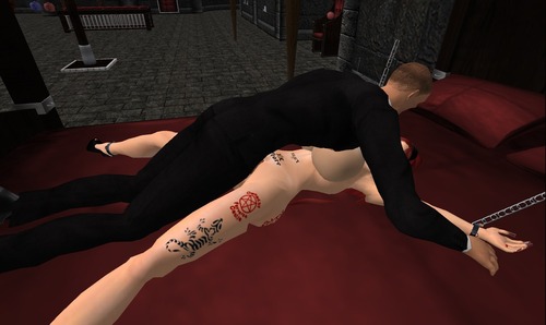 Web 5363bf29a73e217332000001