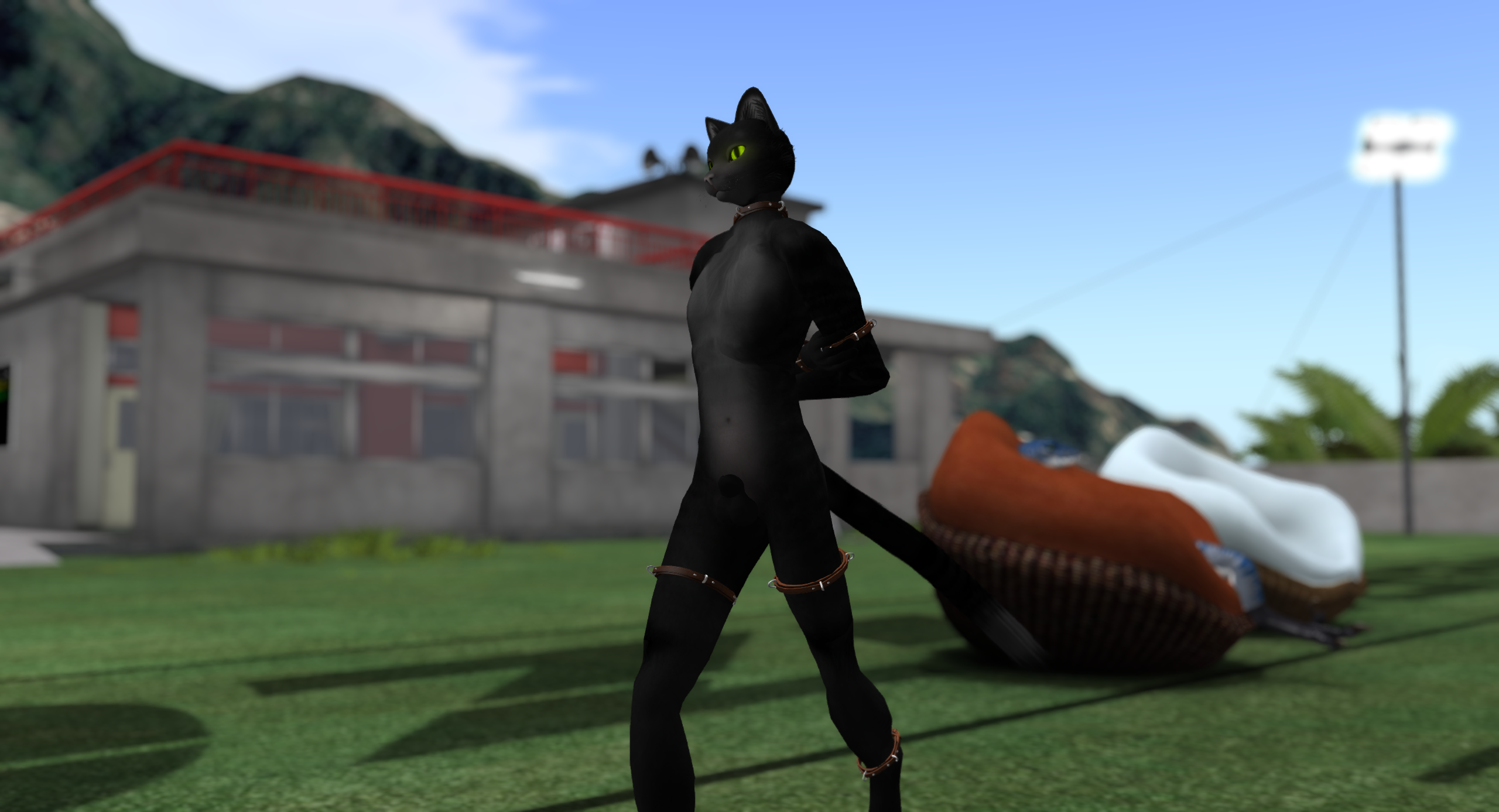 Original 6495770de8a3b85f5524b2dc