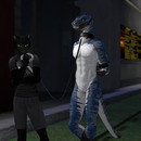 Thumb 6342eb8a1ddbb706b7066210