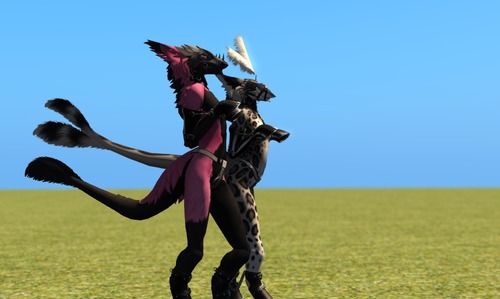 Web 585873bae85cda6ddb000001