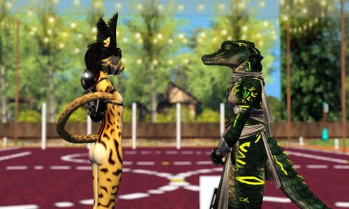 Web 5927aa7bd774f846b6000001