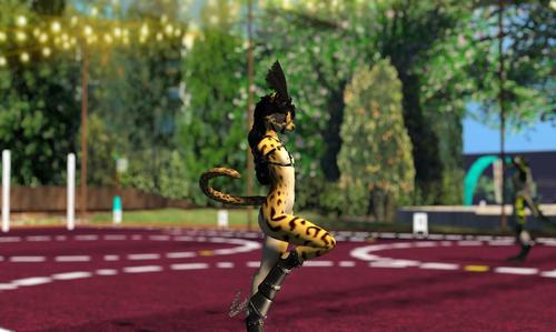 Web 5927acfd289dd250dc000001