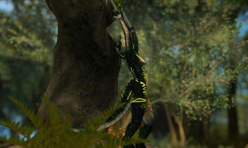 Web 5a7fa39173ed1737ca000001