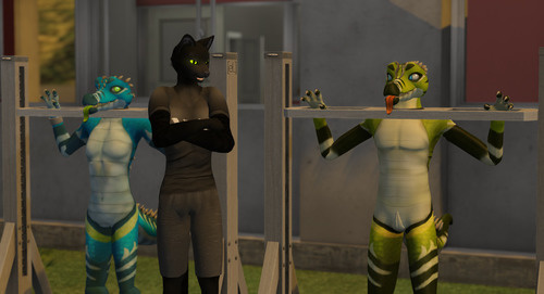 Web 63579fa7c62b2616d03f9b43