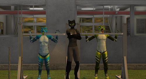 Web 63579ff0df68fe53fb9b273a