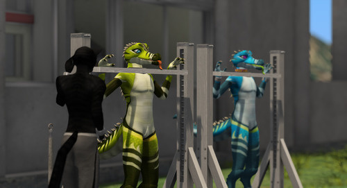 Web 639ca99627092b5aeb5a4ad3