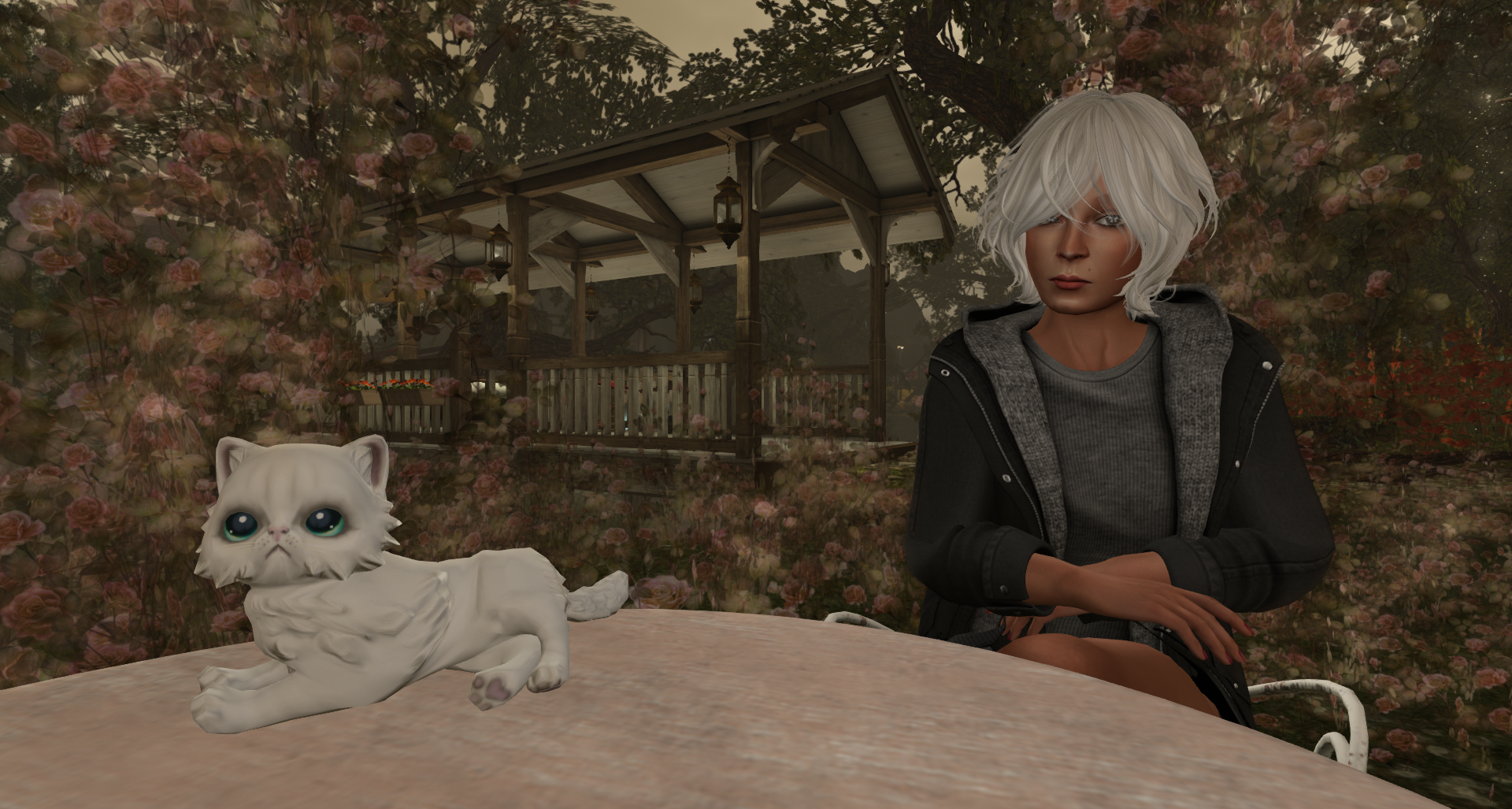 Original 5886c50ff8a1ec1236000001