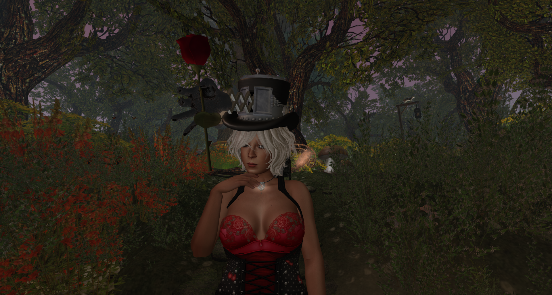 Original 58a2ed73b01540598a000001