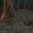 Thumb 587bf686e85cda6bf0000001