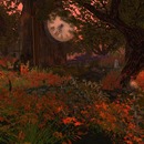 Thumb 587ccbddb015404104000001