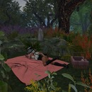 Thumb 5880c079f8a1ec5598000001