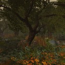 Thumb 588cafc0b713f70245000001