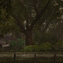 Thumb 588e15a6e85cda1f20000001