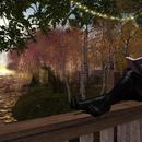 Thumb 5bf6a00cd774f82ebd000001