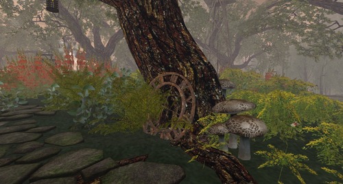 Web 58850d49b015401c82000001