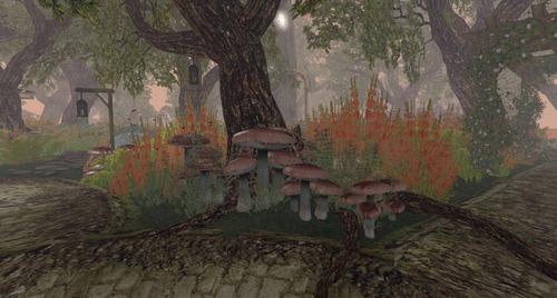 Web 58850dbfb015401f7d000001