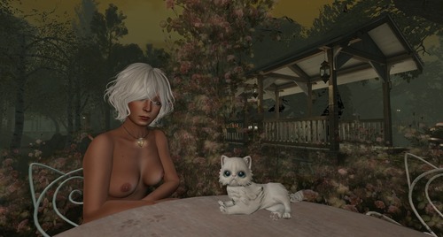 Web 58874b87e85cda4998000001