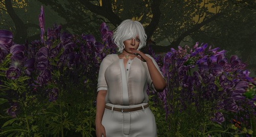 Web 5889f6fde85cda2f3b000001