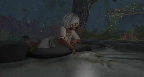 Web 588a0563b713f72777000001