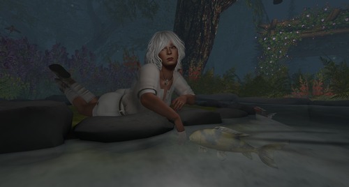 Web 588a0573b713f7295c000001